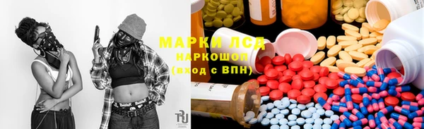 трава Абаза